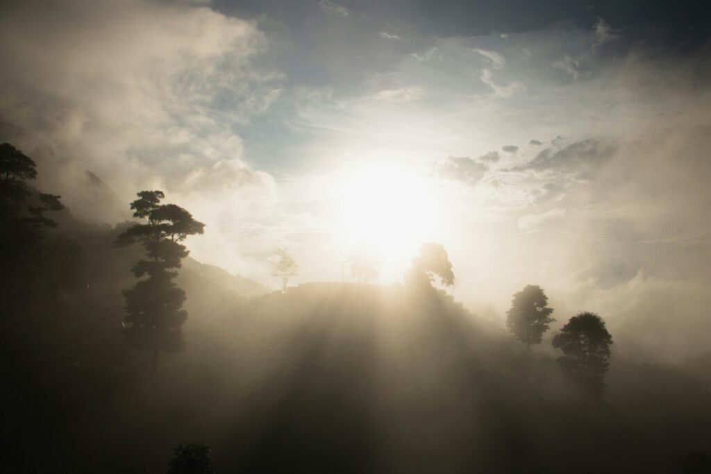 Sunlight breaking through morning fog over forested hills — symbolizing courage and clarity.